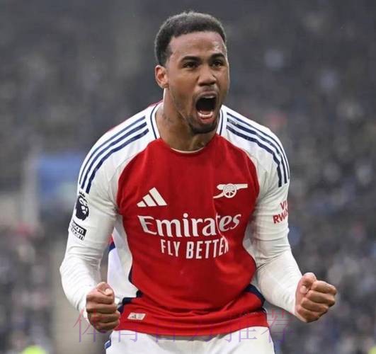 罗德里戈是阿森纳头号目标 他被视为争冠关键拼图 罗德里戈是阿森纳头号目标 他被视为争冠关键拼图